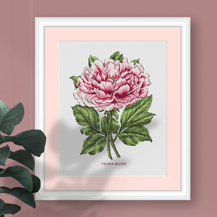 Peony Flower - PDF Cross Stitch Pattern