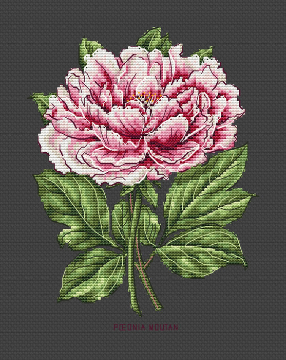 Peony Flower - PDF Cross Stitch Pattern