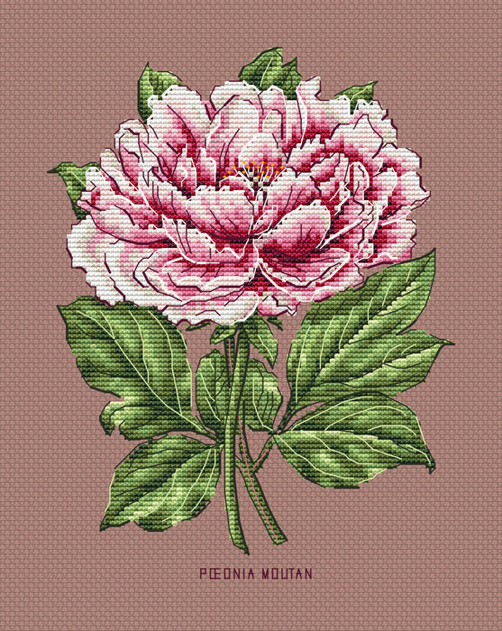 Peony Flower - PDF Cross Stitch Pattern