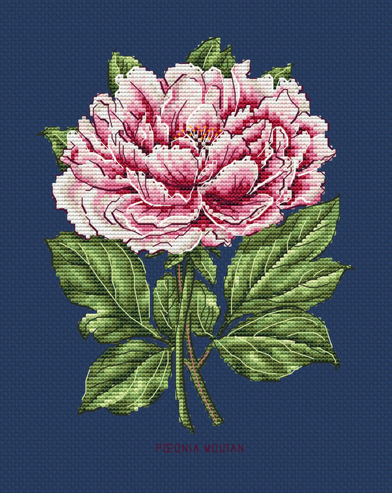 Peony Flower - PDF Cross Stitch Pattern