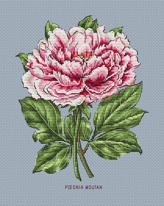 Peony Flower - PDF Cross Stitch Pattern