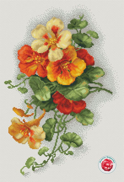 Nasturtium - PDF Cross Stitch Pattern