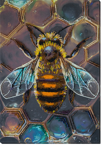 Main Bead Embroidery Kit - Honey motif AB-950