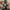 Christmas Anticipation Santa and Snowman Christmas Ornament Bead Embroidery Kit ABT-E-002 - Wizardi
