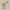 Airy Mood - PDF Cross Stitch Pattern