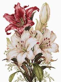 The scent of Lilies B7054L Counted Cross-Stitch Kit