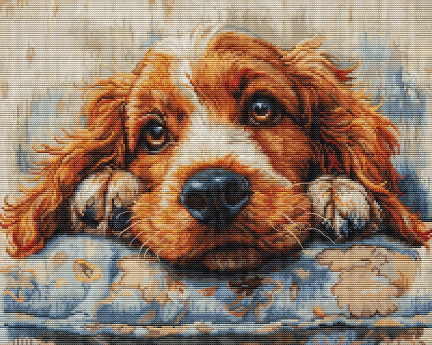 Cocker Spaniel BU5058L Counted Cross-Stitch Kit