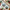 Decoration - By the Christmas Tree ABT-062
