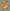 Autumn Bouquet - PDF Cross Stitch Pattern