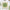Cross-stitch kit - Dance of the Leaves AH-301