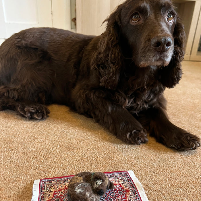 Felting Kit - Little Dog on Rug Needle Felt Kit