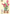 DIY Wooden Tulip Model Kit F07AM15-9-68080