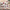 Lifebuoy Santa Wooden Nutcracker F07AM9-1-N01044B