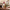 Beach Ball Santa Wooden Nutcracker F07AM9-1-N01044C