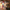 Hawaii Santa Wooden Nutcracker F07AM9-3-N02022B