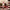 Presents Santa Wooden Nutcracker F07AM9-5-N01869A