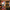 Countdown Santa Wooden Nutcracker F07AM9-7-N01830A