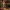 Christmas Nutcracker by Wizardi F07M14-31-N01702A