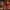 Christmas Nutcracker the Trumpeter by Wizardi F07M14-32-N01819D
