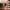 Christmas Nutcracker the Trumpeter by Wizardi F07M14-32-N01819D