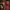 Christmas Nutcracker the Musketeer by Wizardi F07M14-36-N01845B