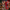 Christmas Nutcracker by Wizardi F07M14-37-N01833A