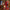 Christmas Nutcracker the Swordsman by Wizardi F07M14-38-N01724A