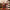 Christmas Nutcracker the Staffbearer by Wizardi F07M14-39-N01365A