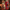 Christmas Nutcracker the Swordsman by Wizardi F07M14-40-N01012A