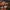 Christmas Nutcracker the Swordsman by Wizardi F07M14-40-N01012A