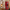 Christmas Nutcracker the Staffbearer by Wizardi F07M14-45-N01315B