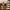 Wooden Nutcracker Soldier with Christmas Tree Cane Wizardi F07M6-1C