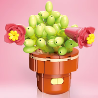 Plant Building Brick Kit - Catyledon by Wizardi F07N11-26-20(113)