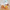 Orange Sun Mini Flower Building Blocks Kit F07AM11-11-091250805