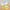Golden Cluster Mini Flower Building Blocks Kit F07AM11-11-091250806