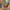 Countryside Morning - PDF Cross Stitch Pattern