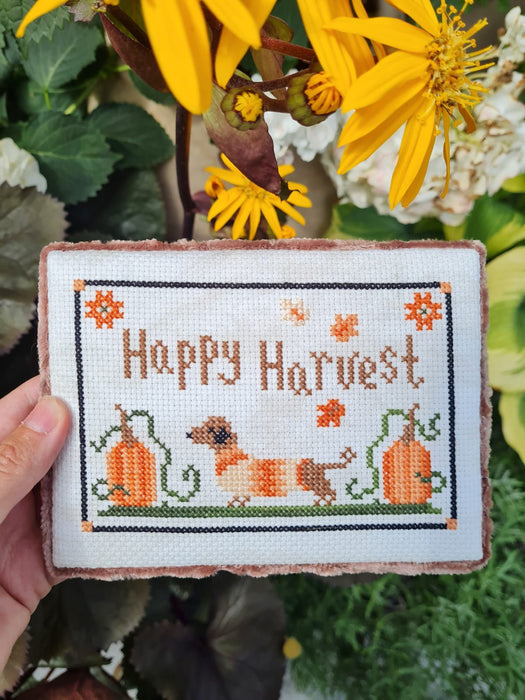 Happy Harvest - PDF Cross Stitch Pattern