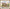 Notre-Dame de Paris Cathedral Counted Cross Stitch Kit K-317 - Wizardi