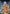 Teddy Wonderland L10-008 Counted Cross Stitch Kit
