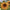 Sunflowers Bouquet Cross Stitch Kit by VDV M-0311