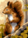 Needlepoint canvas for halfstitch without yarn The Squirrel Unit MRCU722344 Margot de Paris Printed Tapestry Canvas