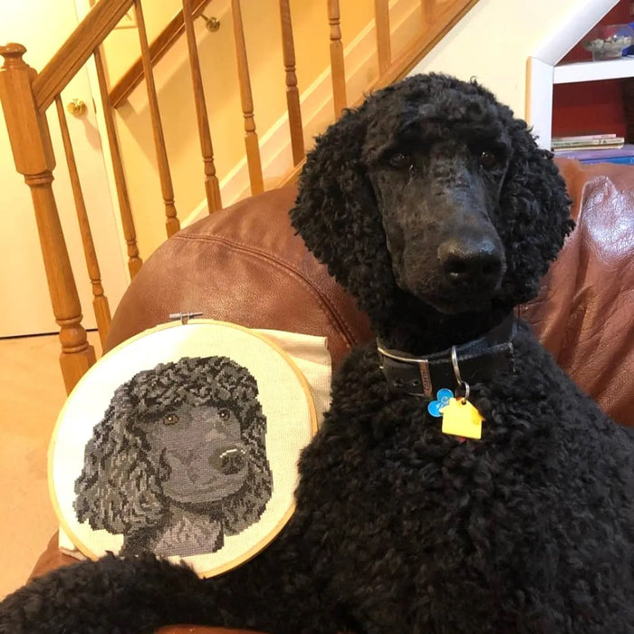 Black Poodle - PDF Cross Stitch Pattern