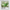 Pantone. Green Tea - PDF Cross Stitch Pattern