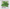 Pantone. Mint Leaves - PDF Cross Stitch Pattern