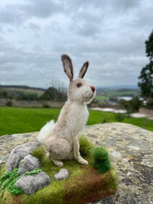 Felting Kit - Mountain Hare Needle Felt Kit