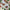 Decoration - Sleigh of Santa ABT-064