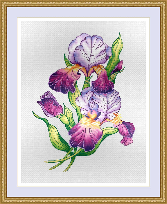 Irises - PDF Cross Stitch Pattern
