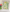 Vision of Spring XCC2 Counted Cross Stitch Kit