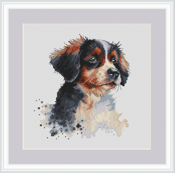 Watercolor Bernese Mountain Puppy - PDF Cross Stitch Pattern