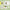 Blackthorn XAC27 Counted Cross Stitch Kit - Wizardi